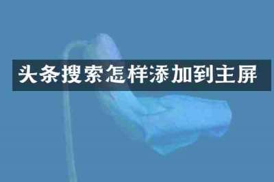 头条搜索怎样添加到主屏