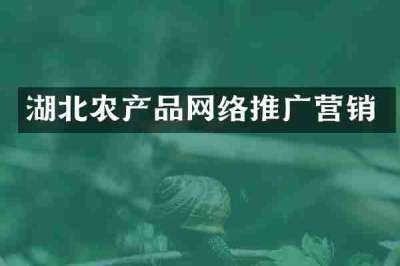湖北农产品网络推广营销