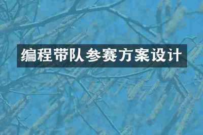 编程带队参赛方案设计