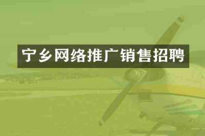 宁乡网络推广销售招聘