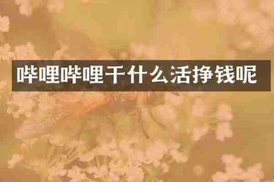 哔哩哔哩干什么活挣钱呢