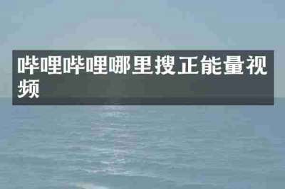 哔哩哔哩哪里搜正能量视频