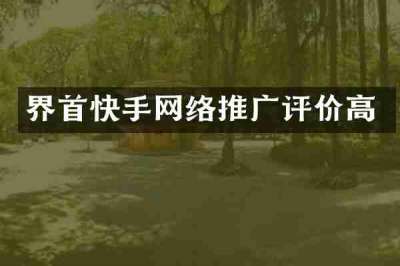 界首快手网络推广评价高