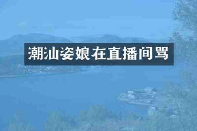 潮汕姿娘在直播间骂