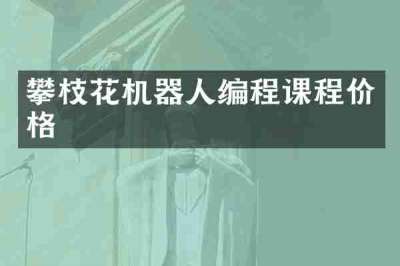 攀枝花机器人编程课程价格
