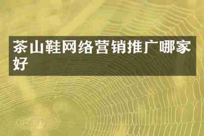 茶山鞋网络营销推广哪家好
