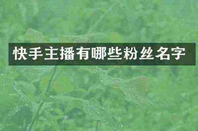 快手主播有哪些粉丝名字