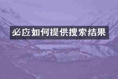 必应如何提供搜索结果