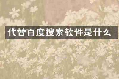 代替百度搜索软件是什么