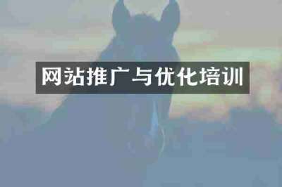 网站推广与优化培训