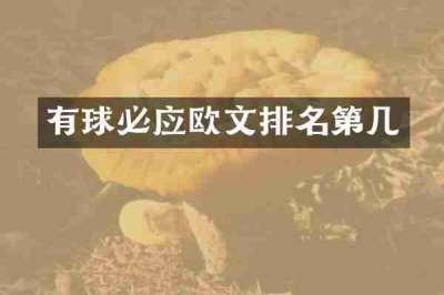 有球必应欧文排名第几