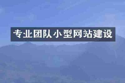 专业团队小型网站建设