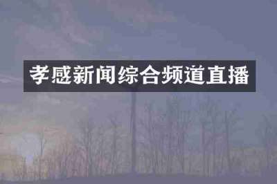 孝感新闻综合频道直播