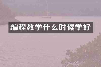 编程教学什么时候学好
