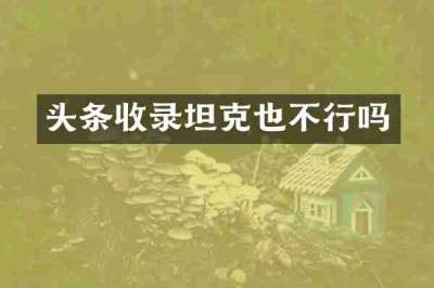 头条收录坦克也不行吗