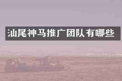 汕尾神马推广团队有哪些