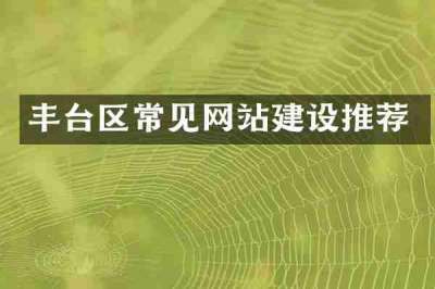 丰台区常见网站建设推荐