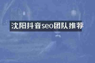 沈阳抖音seo团队推荐