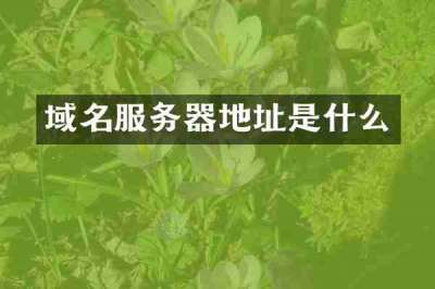 域名服务器地址是什么