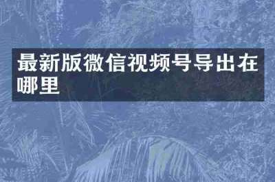 最新版微信视频号导出在哪里