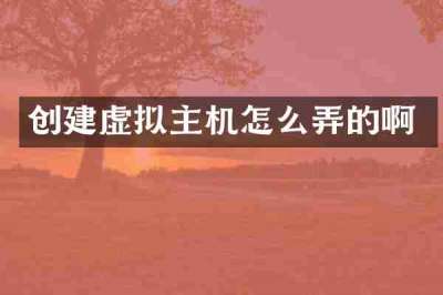 创建虚拟主机怎么弄的啊