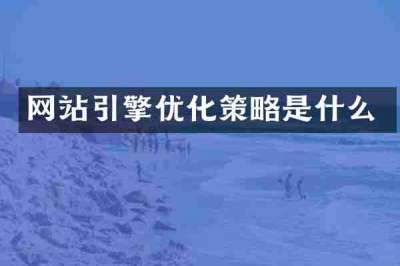 网站引擎优化策略是什么