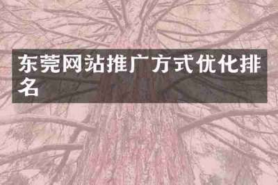 东莞网站推广方式优化排名