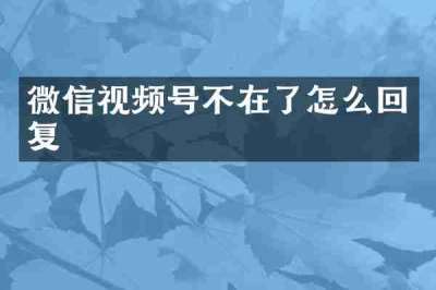 微信视频号不在了怎么回复
