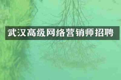 武汉高级网络营销师招聘