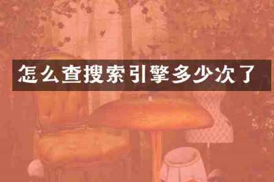 怎么查搜索引擎多少次了