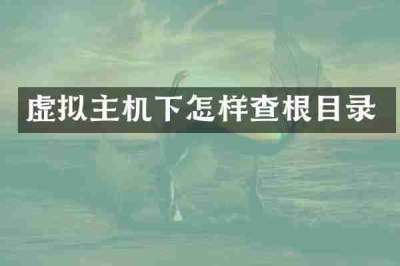 虚拟主机下怎样查根目录