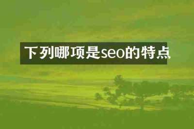 下列哪项是seo的特点
