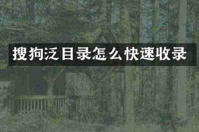 搜狗泛目录怎么快速收录