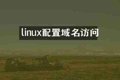 linux配置域名访问
