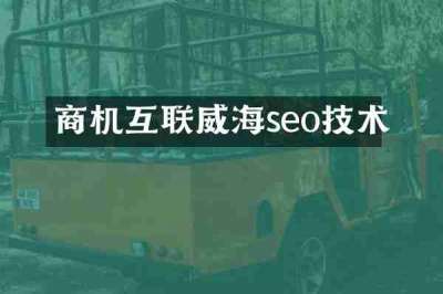 商机互联威海seo技术