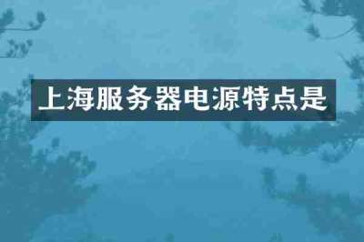 上海服务器电源特点是
