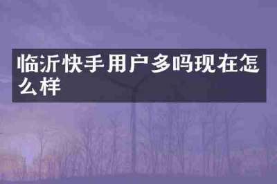 临沂快手用户多吗现在怎么样
