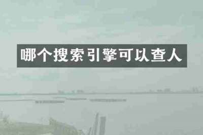 哪个搜索引擎可以查人