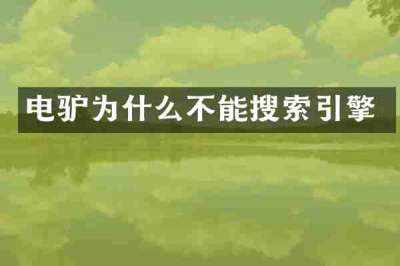 电驴为什么不能搜索引擎