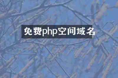 免费php空间域名