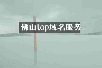 佛山top域名服务