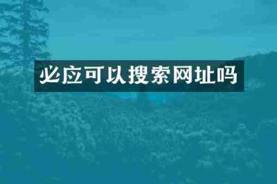 必应可以搜索网址吗