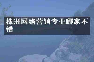 株洲网络营销专业哪家不错