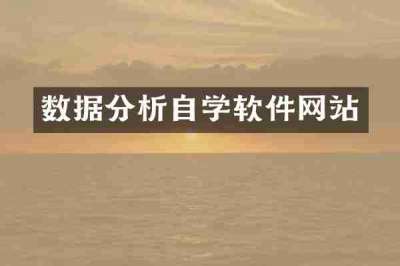 数据分析自学软件网站