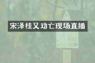 宋泽桂又劝亡现场直播