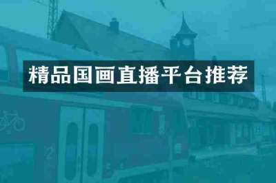 精品国画直播平台推荐