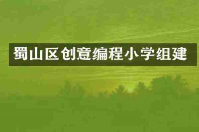蜀山区创意编程小学组建