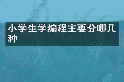 小学生学编程主要分哪几种
