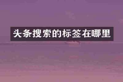 头条搜索的标签在哪里