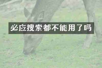 必应搜索都不能用了吗